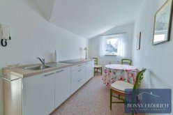 Hauptbild möblierte 1-Zimmer-Wohnung mit Einbauküche, Garage und Garten in Thum